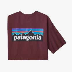 Patagonia Men's Fitz Roy Horizons Responsibili-Tee®
