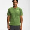 The North Face Men's Big Pine Short-Sleeve Crew