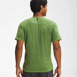 The North Face Men's Big Pine Short-Sleeve Crew